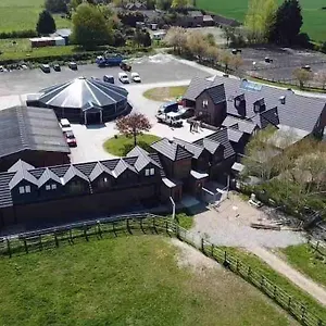 Appaloosa With Amazing Views Of Stud Farm. , Driffield United Kingdom